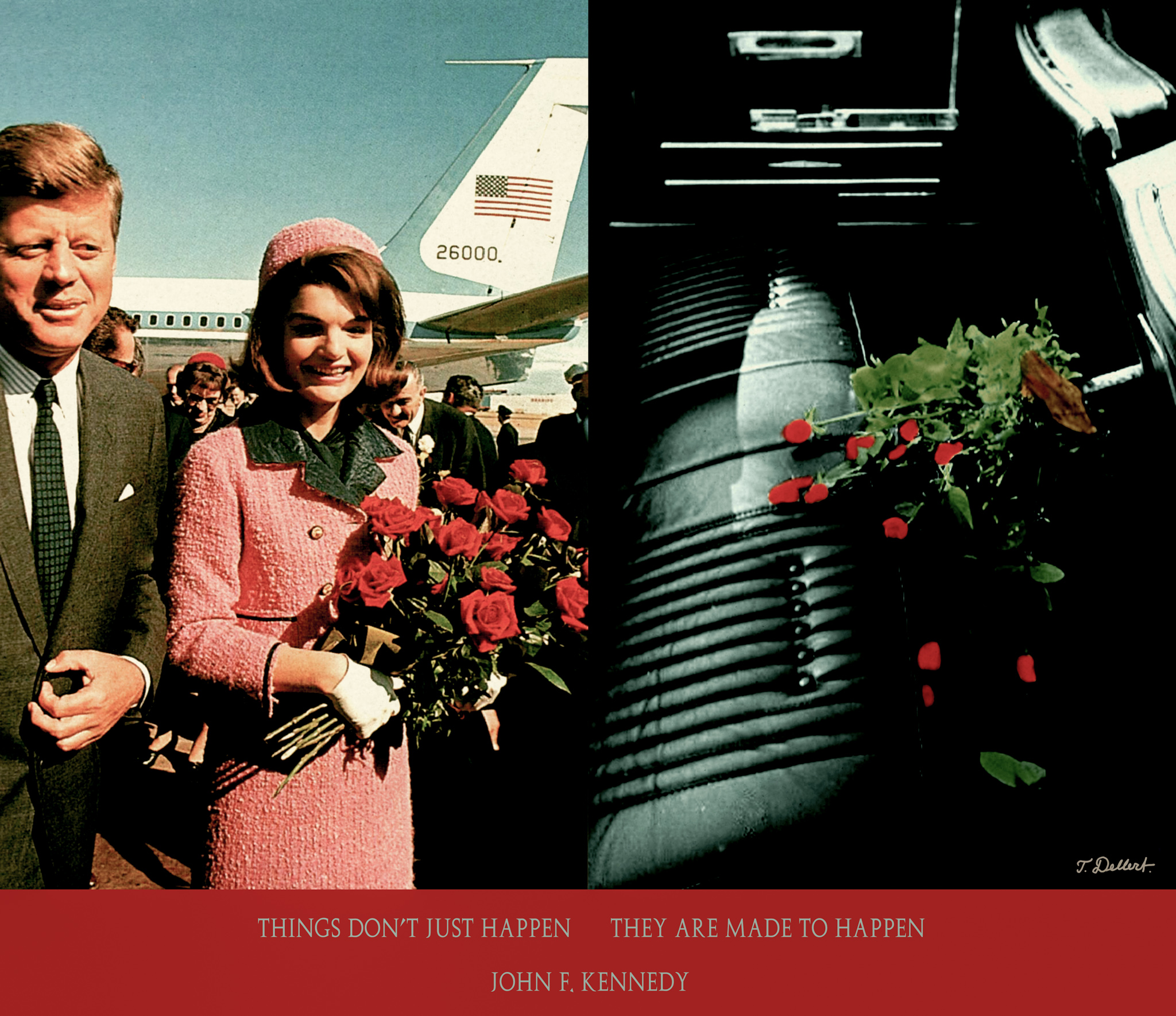 Jackie's Roses 